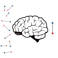 brain-1-1024x1024 brain-1-1024x1024
